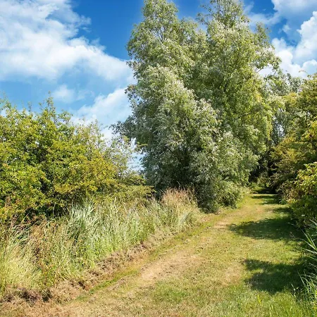 酒店 Wellinghoeve With Swimming Pool And Unique Location Nieuwmunster