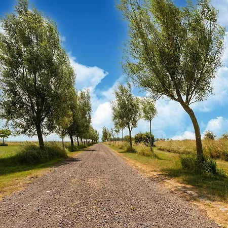 Wellinghoeve With Swimming Pool And Unique Location 酒店